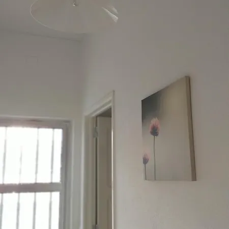 Detrinver In Apartman